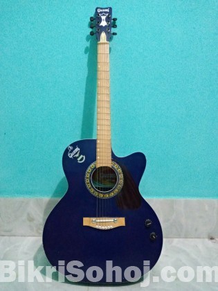 Acoustic Guitar